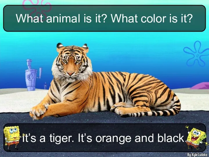 It’s a tiger. It’s orange and black. What animal is it? What color is it?