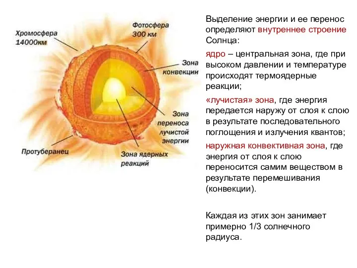 Выделение энергии и ее перенос определяют внутреннее строение Солнца: ядро – центральная