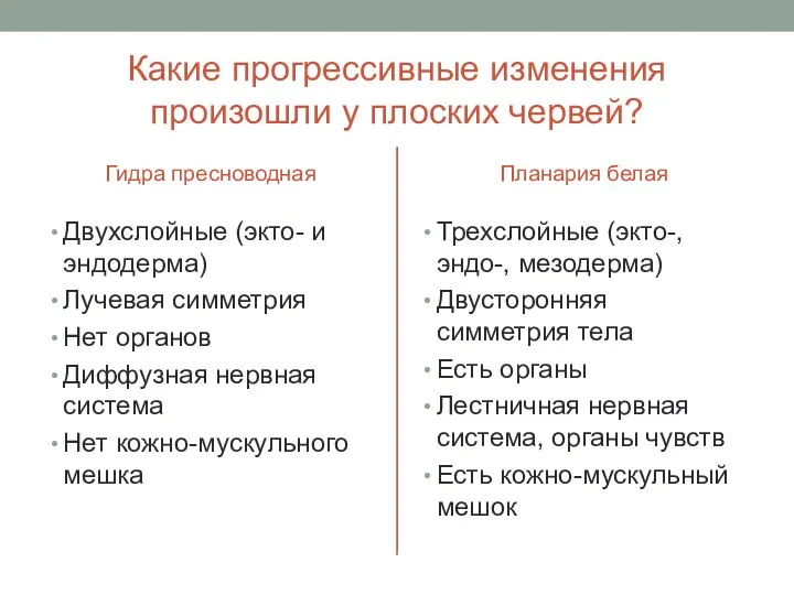 Какие прогрессивные изменения произошли у плоских червей? Гидра пресноводная Двухслойные (экто- и