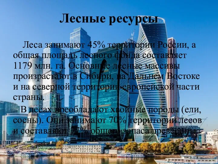 Лесные ресурсы Леса занимают 45% территории России, а общая площадь лесного фонда