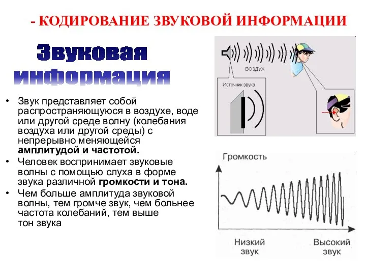 - КОДИРОВАНИЕ ЗВУКОВОЙ ИНФОРМАЦИИ Звук представляет собой распространяющуюся в воздухе, воде или