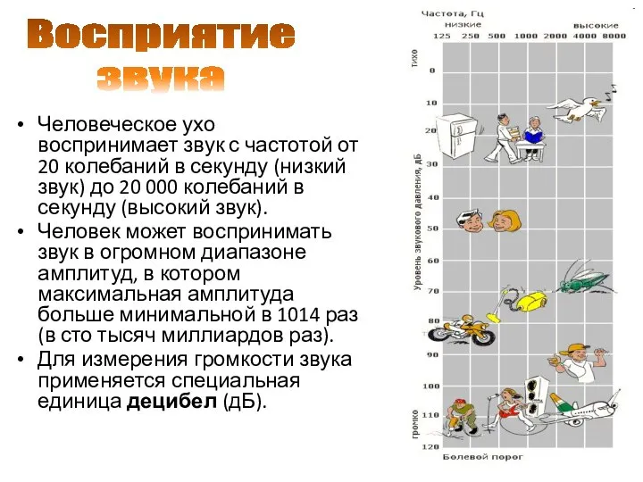 Человеческое ухо воспринимает звук с частотой от 20 колебаний в секунду (низкий