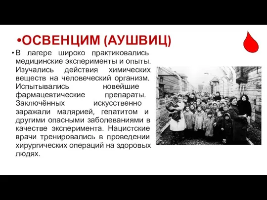 В лагере широко практиковались медицинские эксперименты и опыты. Изучались действия химических веществ