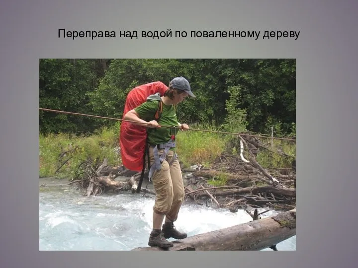 Переправа над водой по поваленному дереву