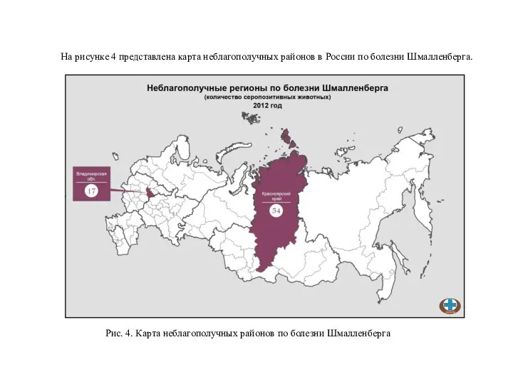 На рисунке 4 представлена карта неблагополучных районов в России по болезни Шмалленберга.