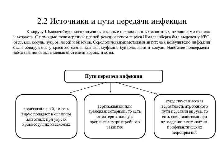 2.2 Источники и пути передачи инфекции К вирусу Шмалленберга восприимчивы жвачные парнокопытные