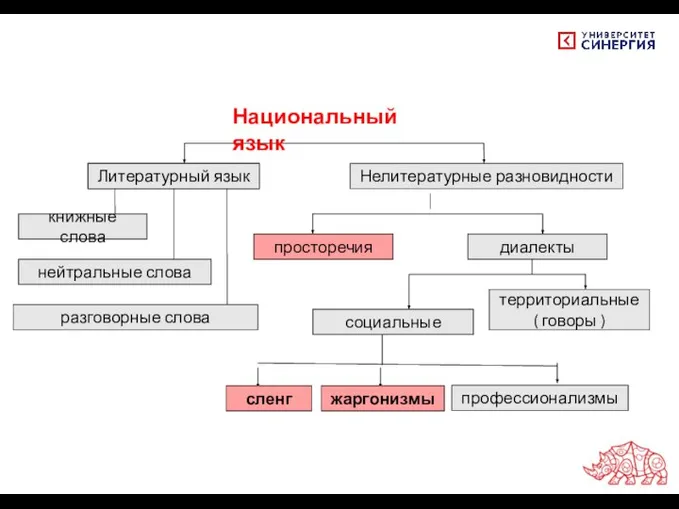 Литературный язык Нелитературные разновидности просторечия диалекты территориальные ( говоры ) социальные книжные