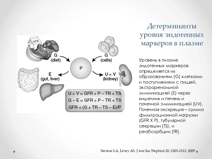 Детерминанты уровня эндогенных маркеров в плазме Уровень в плазме эндогенных маркеров определяется