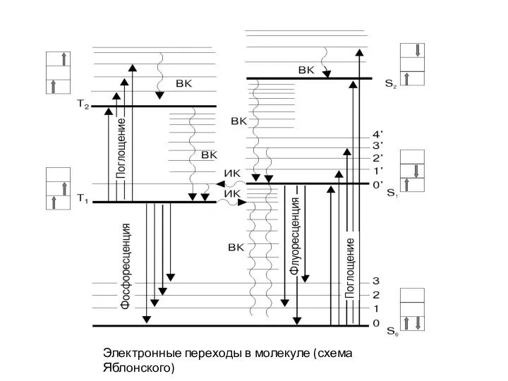 Электронные переходы в молекуле (схема Яблонского)