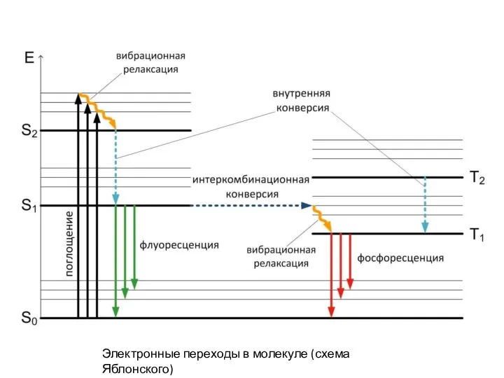 Электронные переходы в молекуле (схема Яблонского)