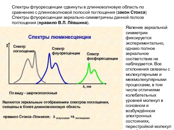 Спектры флуоресценции сдвинуты в длинноволновую область по сравнению с длинноволновой полосой поглощения