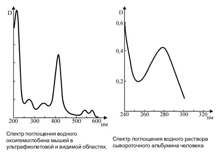 Спектр поглощения водного оксигемоглобина мышей в ультрафиолетовой и видимой областях. Спектр поглощения