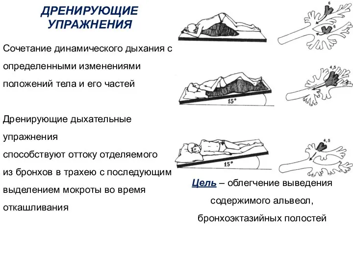 ДРЕНИРУЮЩИЕ УПРАЖНЕНИЯ Сочетание динамического дыхания с определенными изменениями положений тела и его