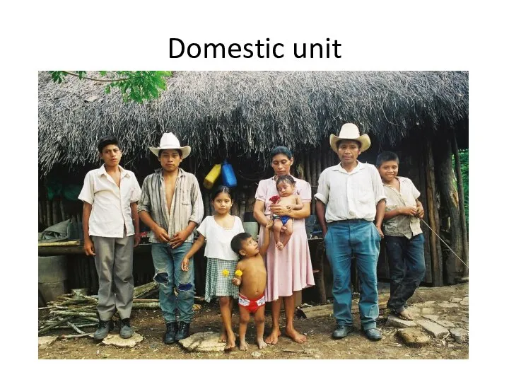 Domestic unit