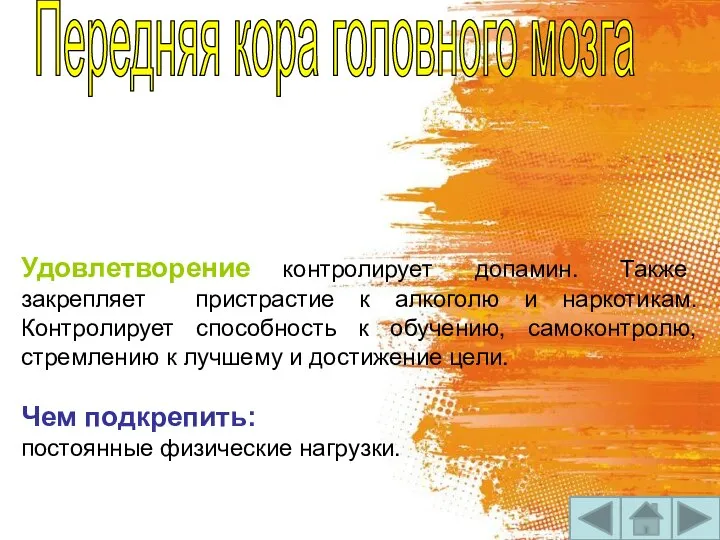 Передняя кора головного мозга Удовлетворение контролирует допамин. Также закрепляет пристрастие к алкоголю