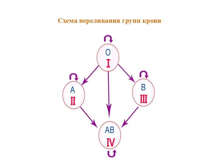 Схема переливания групп крови