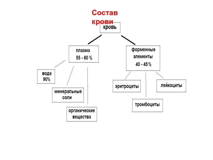 Состав крови