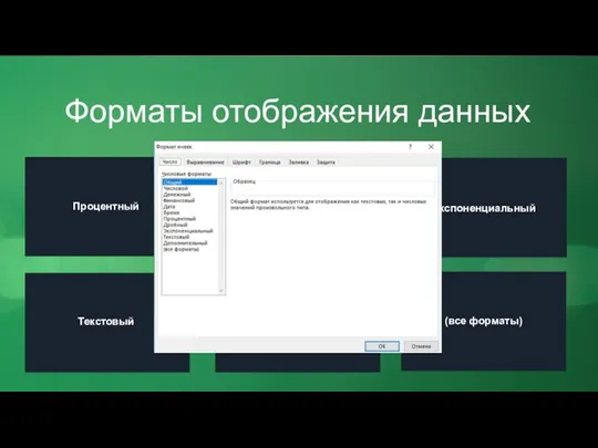 Форматы отображения данных Процентный Дробный Экспоненциальный Текстовый Дополнительный (все форматы)