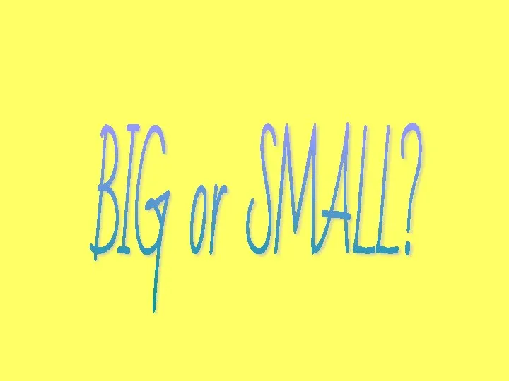 BIG or SMALL?