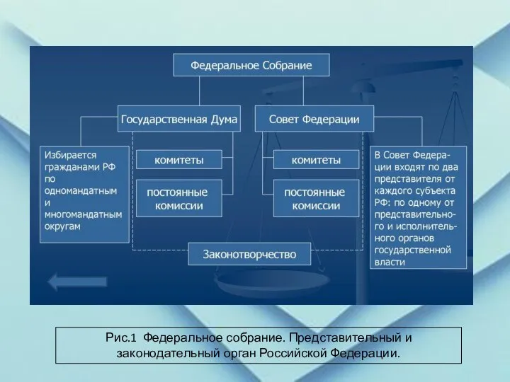 Рис.1 Федеральное собрание. Представительный и законодательный орган Российской Федерации.