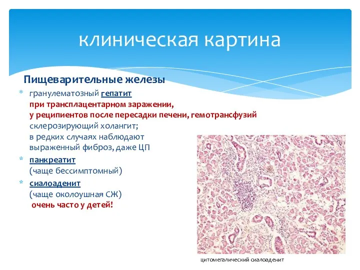 Пищеварительные железы гранулематозный гепатит при трансплацентарном заражении, у реципиентов после пересадки печени,