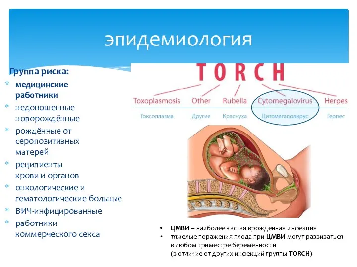 Группа риска: медицинские работники недоношенные новорождённые рождённые от серопозитивных матерей реципиенты крови