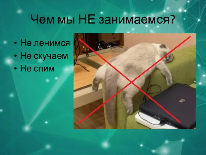 Чем мы НЕ занимаемся? Не ленимся Не скучаем Не спим