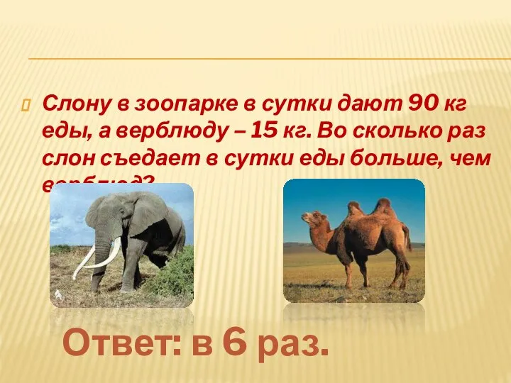 Слону в зоопарке в сутки дают 90 кг еды, а верблюду –
