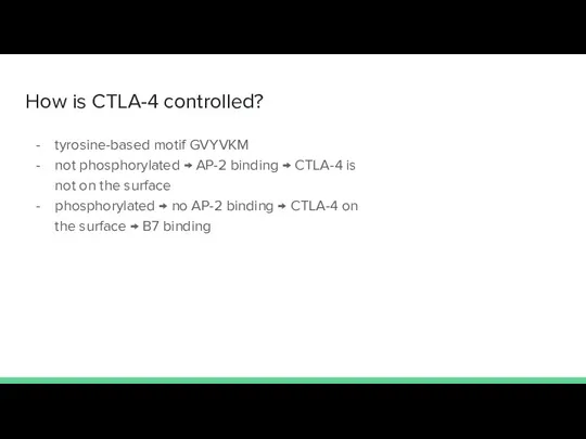 How is CTLA-4 controlled? tyrosine-based motif GVYVKM not phosphorylated → AP-2 binding