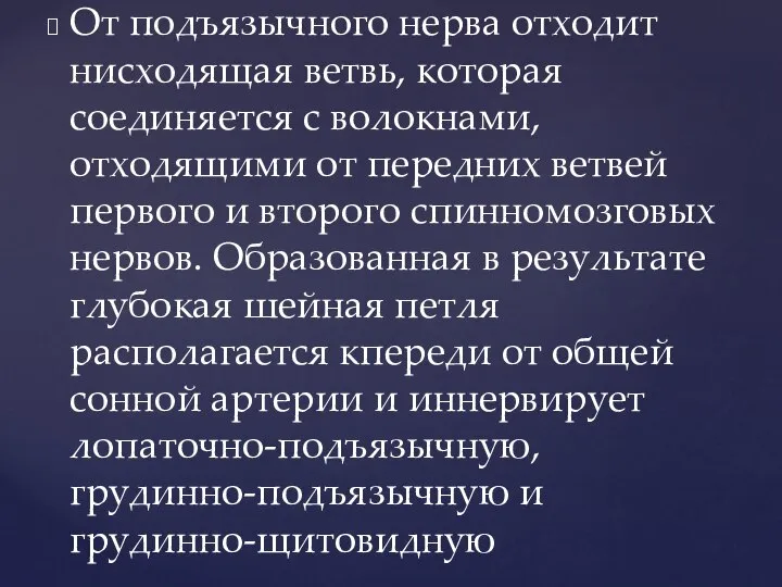 От подъязычного нерва отходит нисходящая ветвь, которая соединяется с волокнами, отходящими от