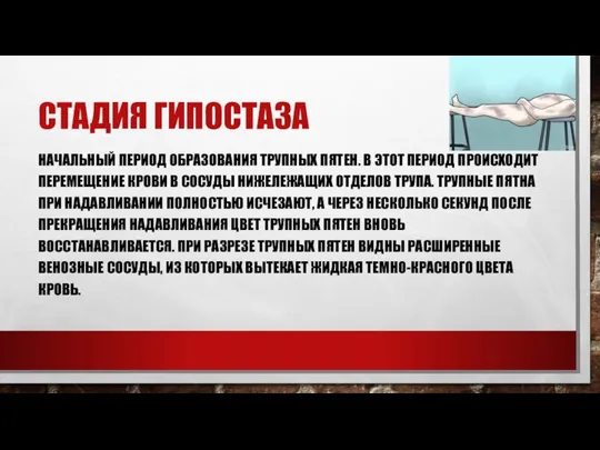 СТАДИЯ ГИПОСТАЗА НАЧАЛЬНЫЙ ПЕРИОД ОБРАЗОВАНИЯ ТРУПНЫХ ПЯТЕН. В ЭТОТ ПЕРИОД ПРОИСХОДИТ ПЕРЕМЕЩЕНИЕ