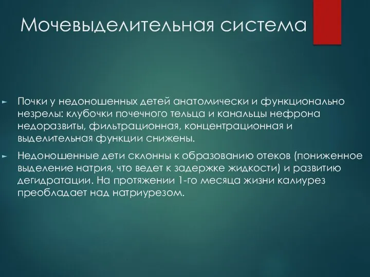 Мочевыделительная система Почки у недоношенных детей анатомически и функционально незрелы: клубочки почечного