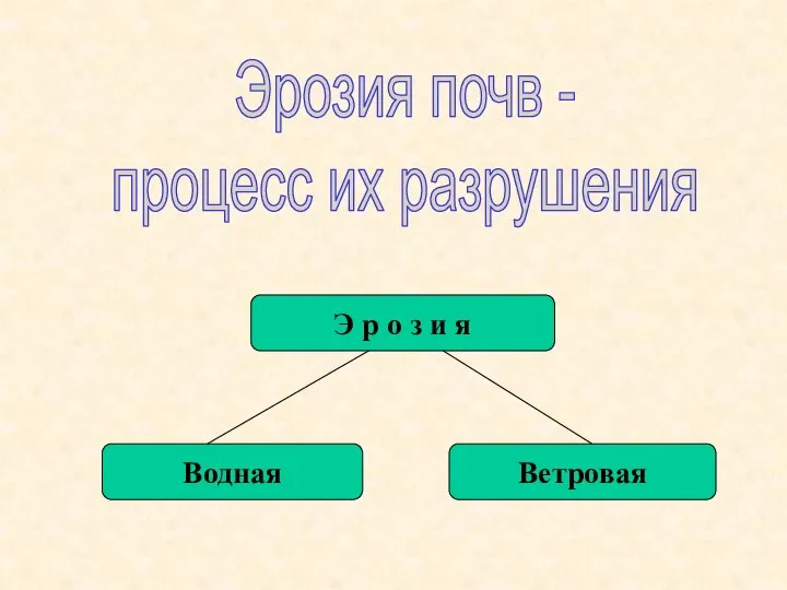 Эрозия почв - процесс их разрушения Э р о з и я Водная Ветровая