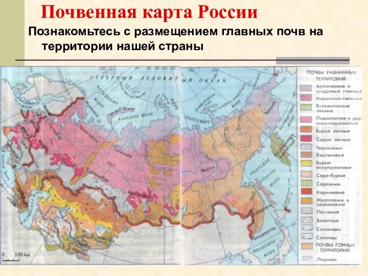 Почвенная карта России Познакомьтесь с размещением главных почв на территории нашей страны