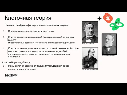 Клеточная теория Шванн и Шлейден сформулировали положения теории: Все живые организмы состоят