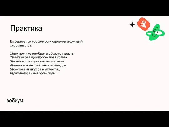 Практика Выберите три особенности строения и функций хлоропластов: 1) внутренние мембраны образуют