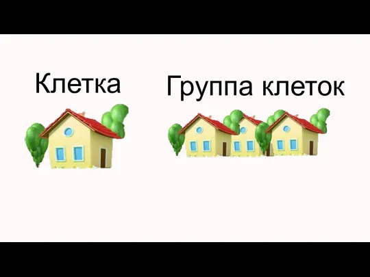 Клетка Группа клеток