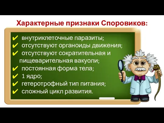 Характерные признаки Споровиков: внутриклеточные паразиты; отсутствуют органоиды движения; отсутствуют сократительная и пищеварительная