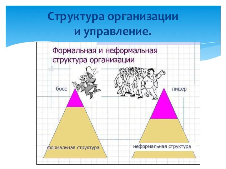 Структура организации и управление.