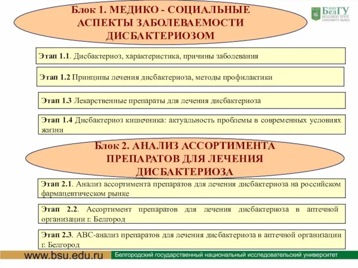 Блок 1. МЕДИКО - СОЦИАЛЬНЫЕ АСПЕКТЫ ЗАБОЛЕВАЕМОСТИ ДИСБАКТЕРИОЗОМ Блок 2. АНАЛИЗ АССОРТИМЕНТА