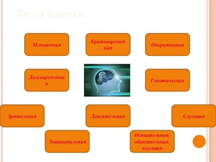 Мгновенная Кратковременная Оперативная Генетическая Долговременная Зрительная Двигательная Слуховая Эмоциональная Осязательная, обонятельная, вкусовая Виды памяти: