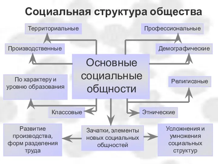 Социальная структура общества Этнические Демографические Религиозные Производственные Усложнения и умножения социальных структур