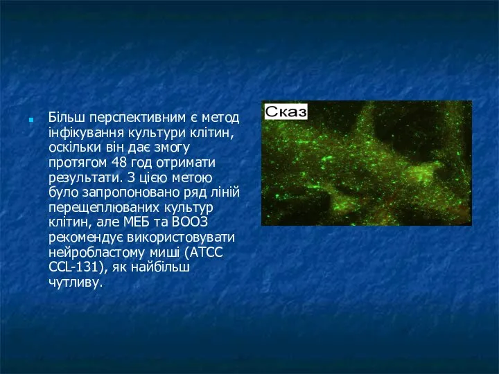 Більш перспективним є метод інфікування культури клітин, оскільки він дає змогу протягом