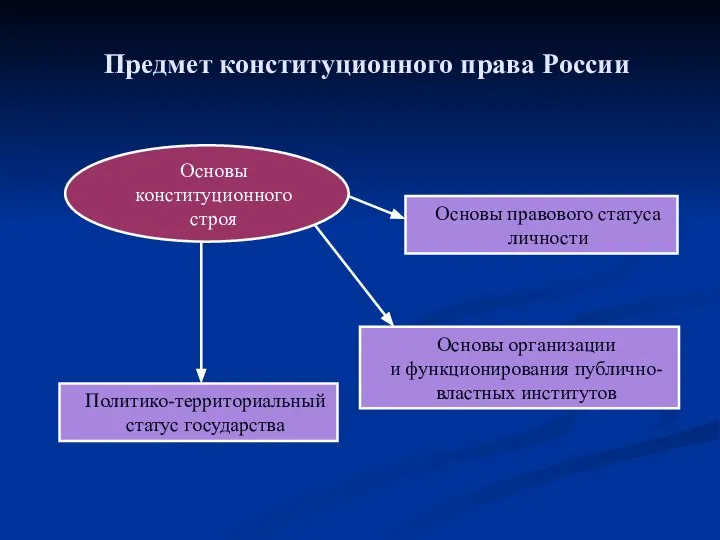 Основы конституционного строя Основы организации и функционирования публично-властных институтов Основы правового статуса