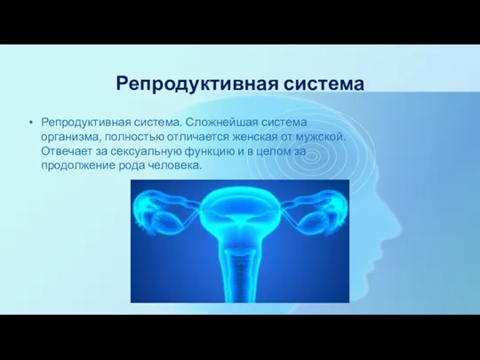 Репродуктивная система Репродуктивная система. Сложнейшая система организма, полностью отличается женская от мужской.