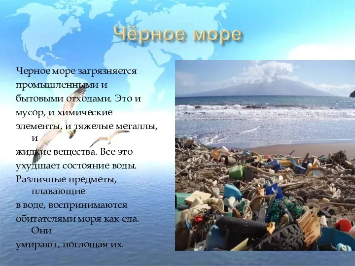 Черное море загрязняется промышленными и бытовыми отходами. Это и мусор, и химические