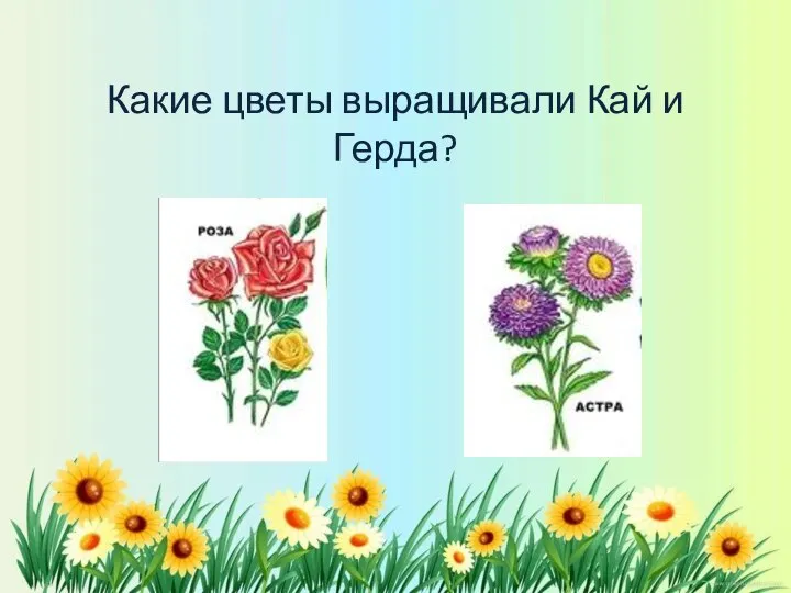 Какие цветы выращивали Кай и Герда?