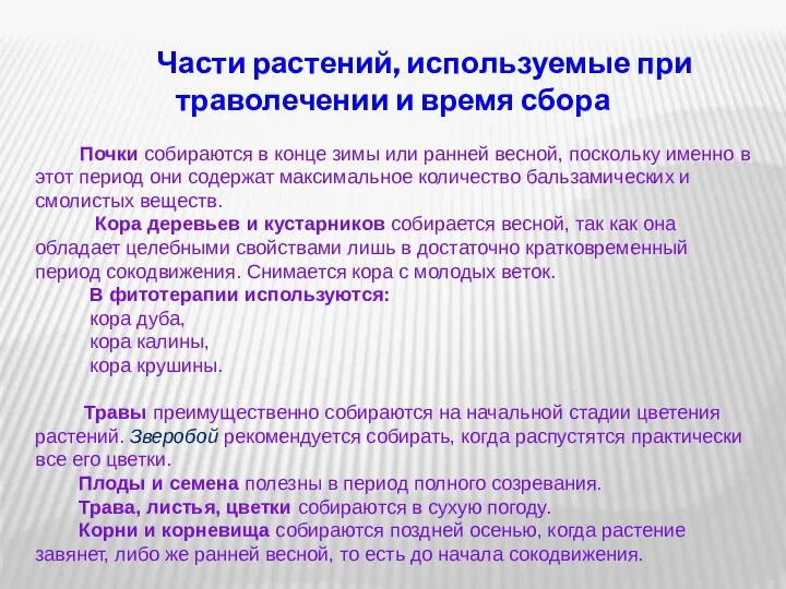 Части растений, используемые при траволечении и время сбора Почки собираются в конце