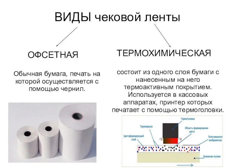 ВИДЫ чековой ленты ОФСЕТНАЯ Обычная бумага, печать на которой осуществляется с помощью