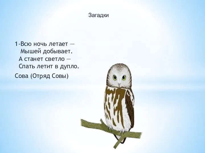 1-Всю ночь летает — Мышей добывает. А станет светло — Спать летит